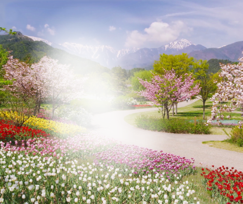 migraña ocular ansiedad