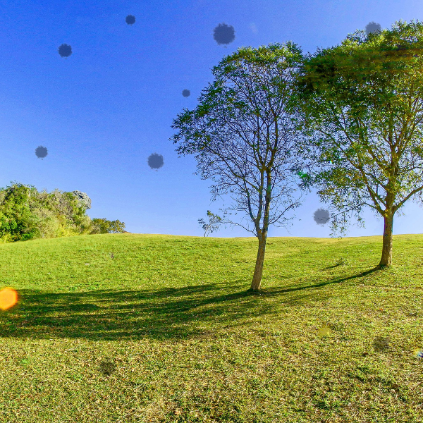 miodesopsias por ansiedad