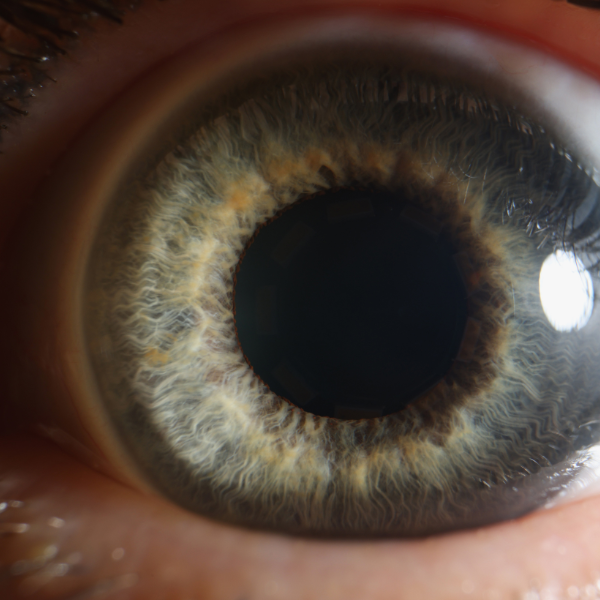 Cuánto dura la dilatación de pupilas