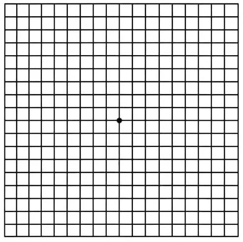 test de la rejilla de amsler